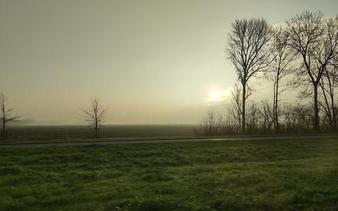 De provincie Flevoland plant nieuwe bomen langs verschillende wegen.