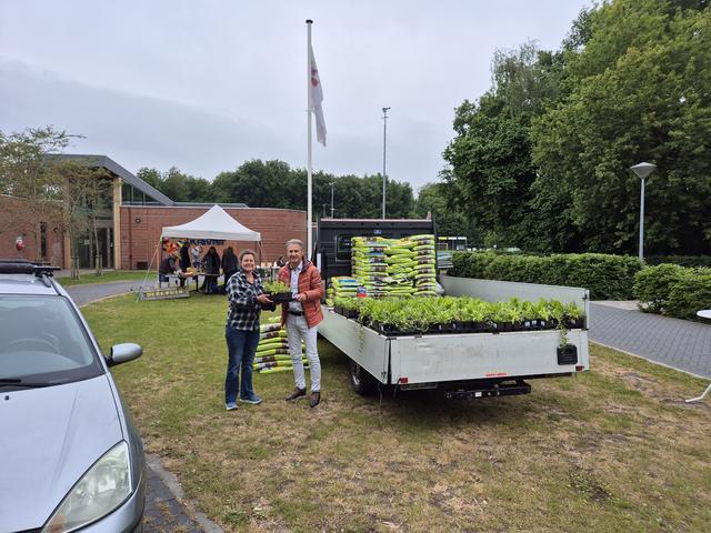 Rutten wipt mee: stenen eruit, planten erin