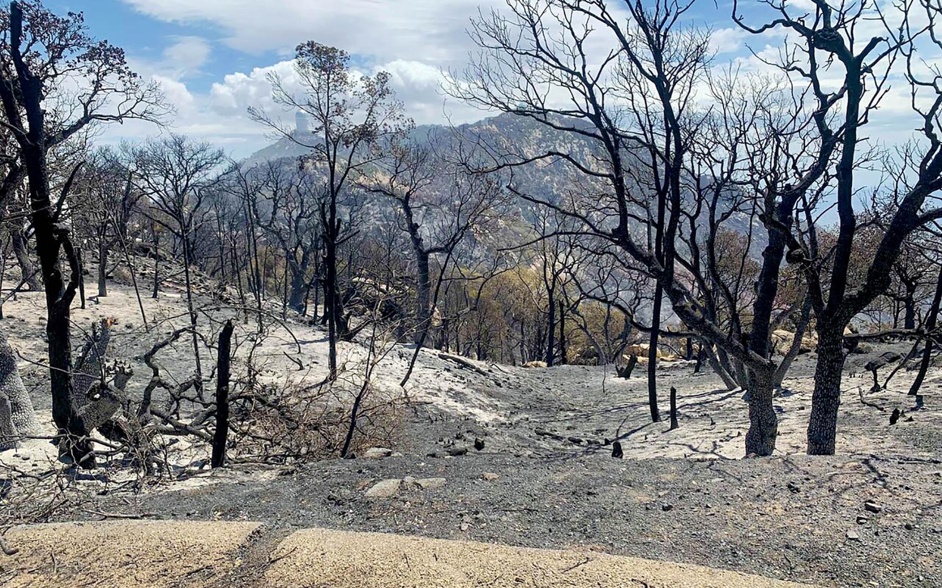 Door brand verwoest landschap nabij de Kitt Peak National Observatory op de tegenoverliggende berg. 