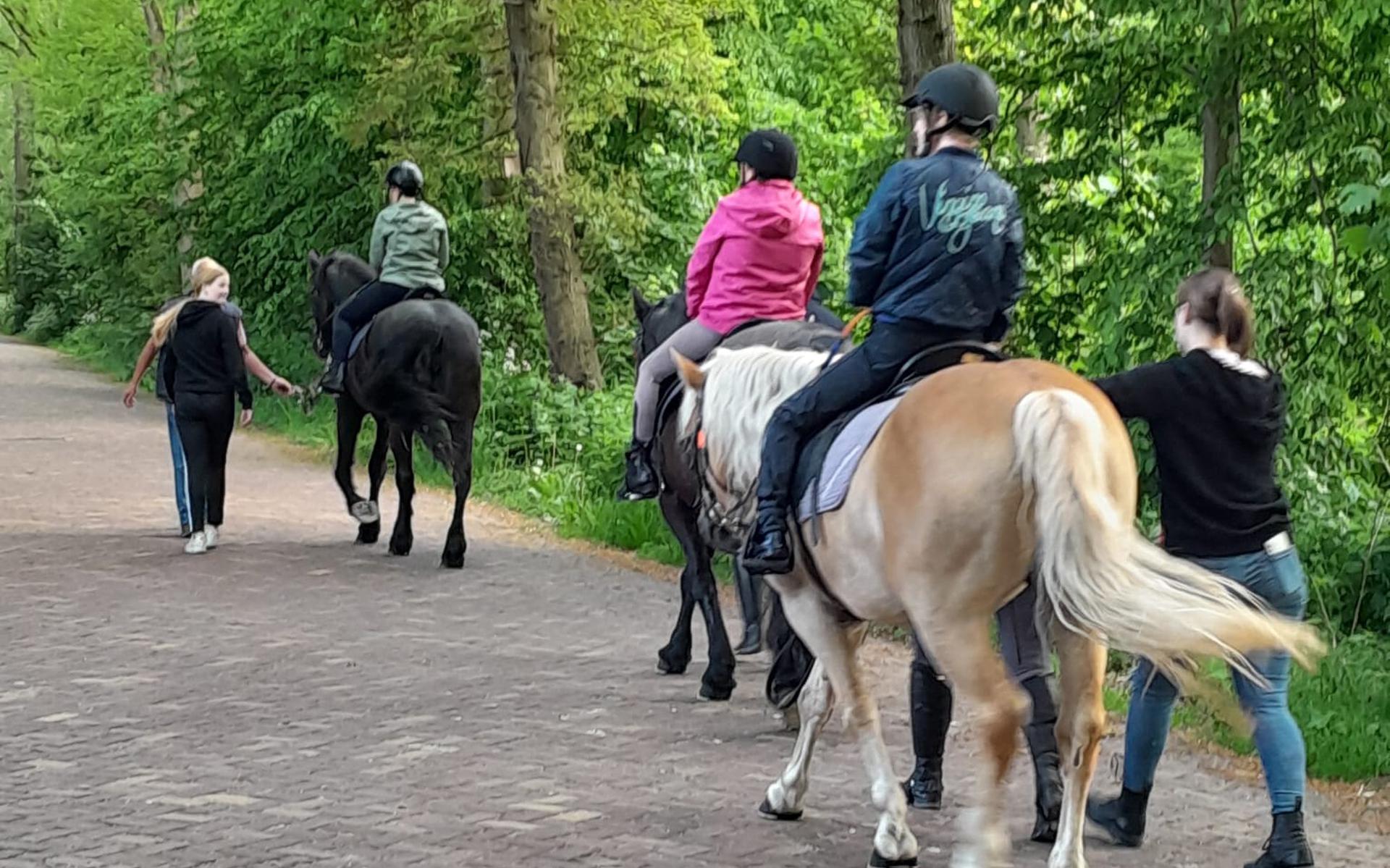 Paardrijden leren bij Stichting in - De Noordoostpolder